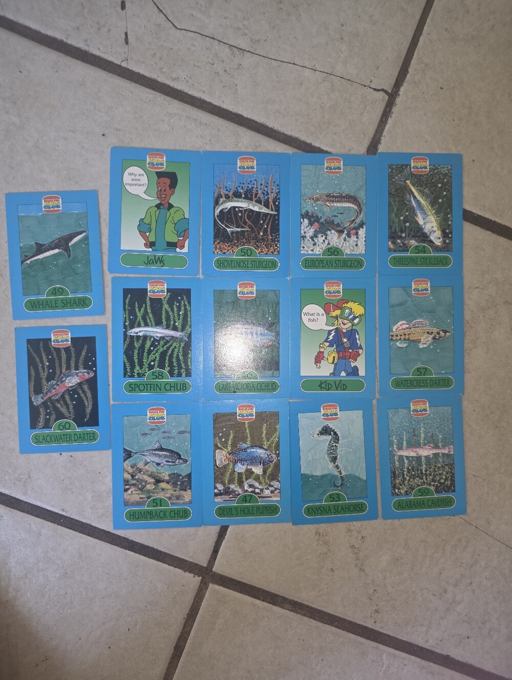1993 Burger King Kids Club 14 Card Set Fish 1990s Jaws Kid Vid Trading Cards